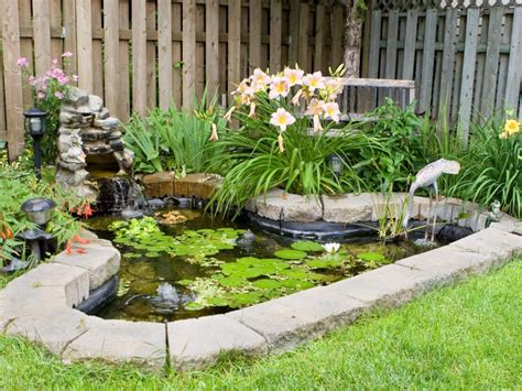 9 Fish Pond Ideas .